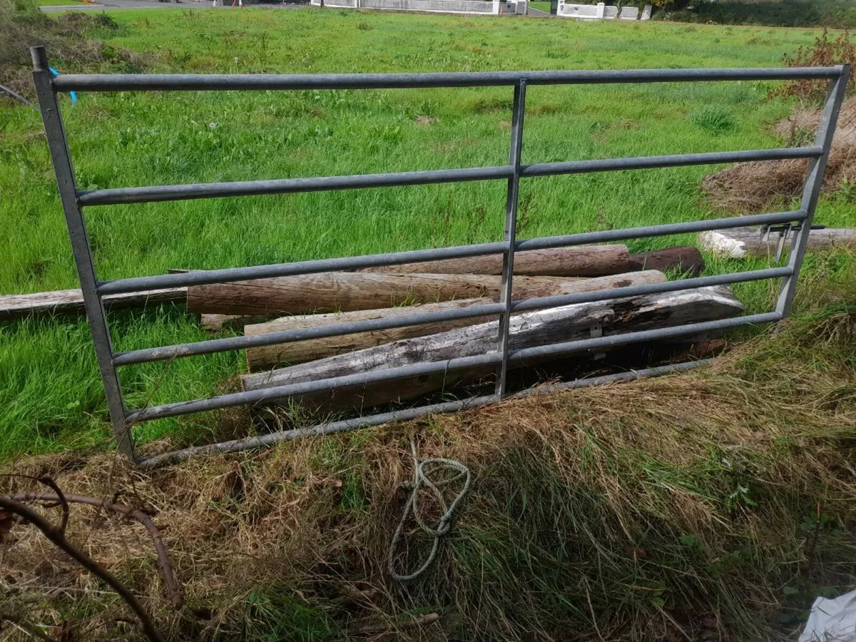 Field gates - Image 2