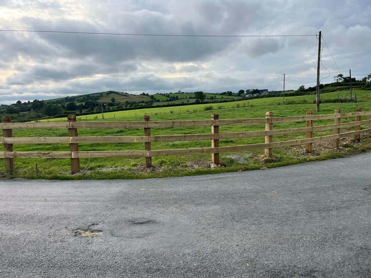 Fencing - Image 3