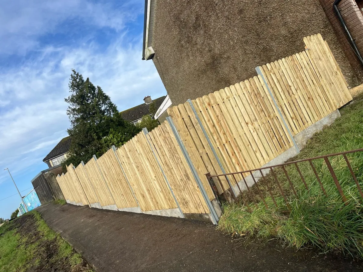 Fencing - Image 4
