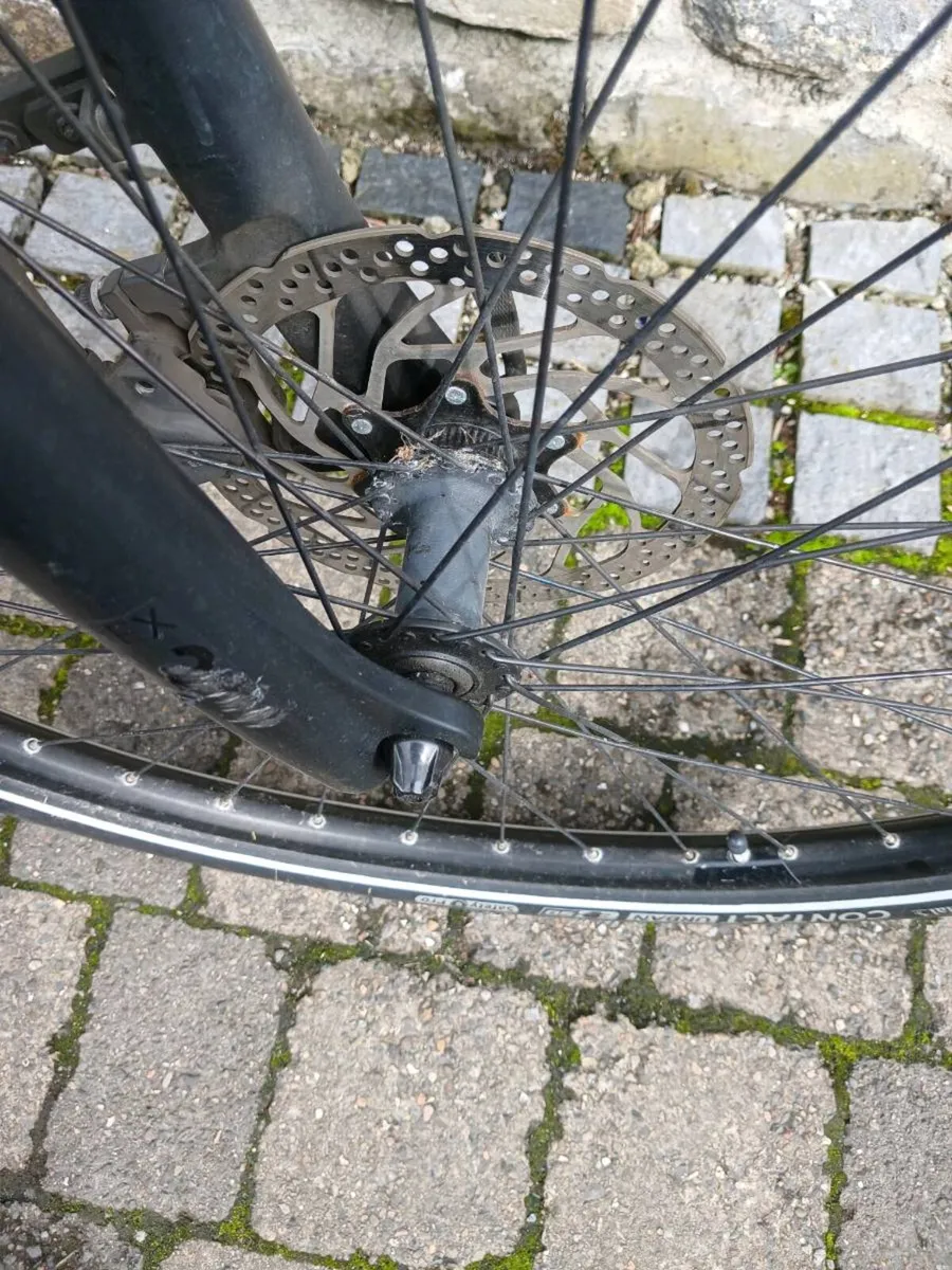 Electric bike - Image 3