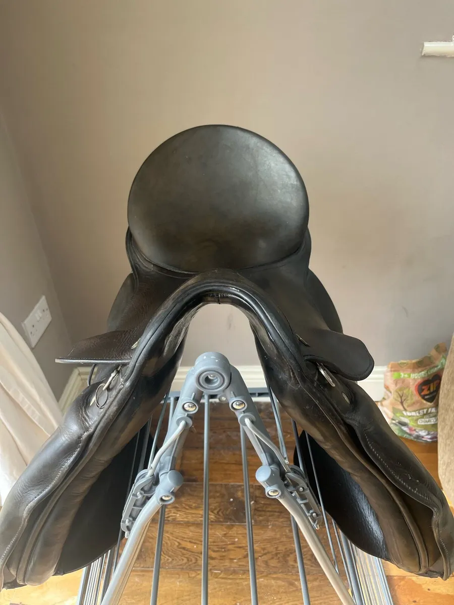 Kiefer Dressage Saddle - Image 2