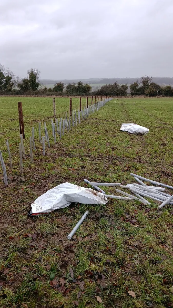 Nationwide trees and planting services - Image 3