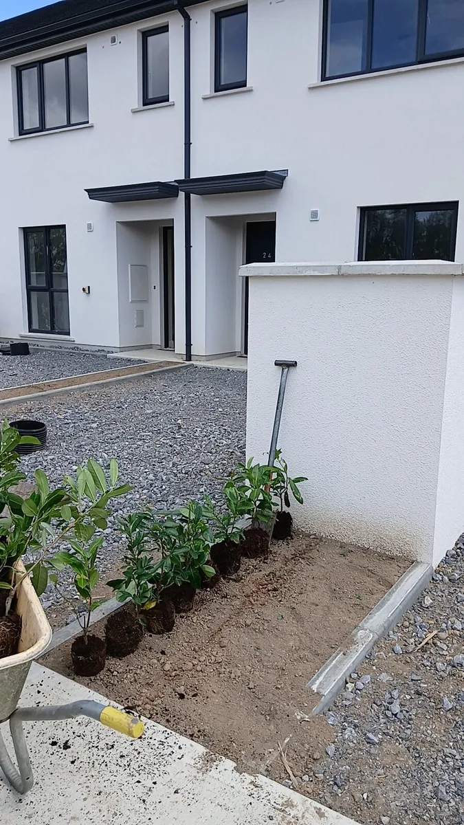 Nationwide trees and planting services - Image 4