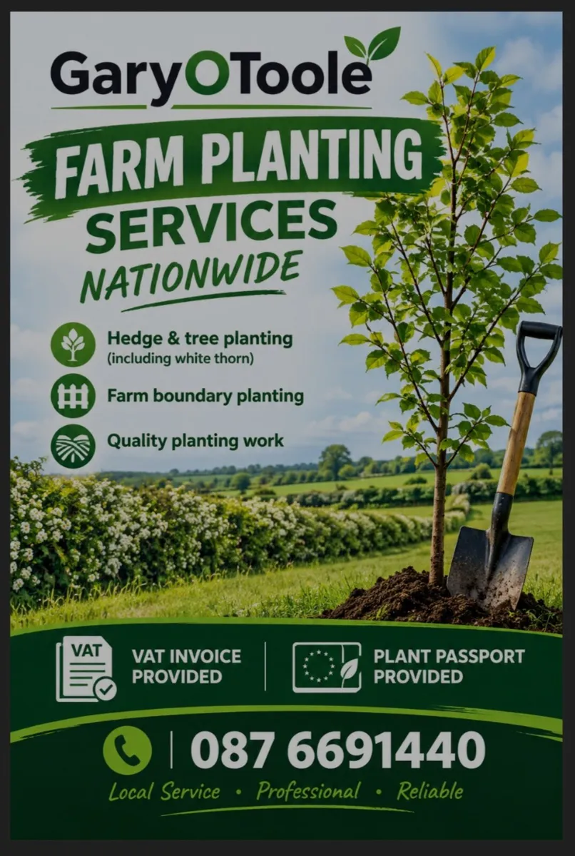 Trees and   planting nationwide - Image 1