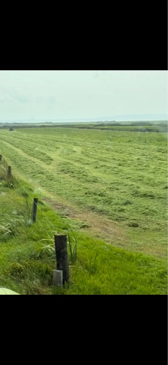 Silage - Image 2