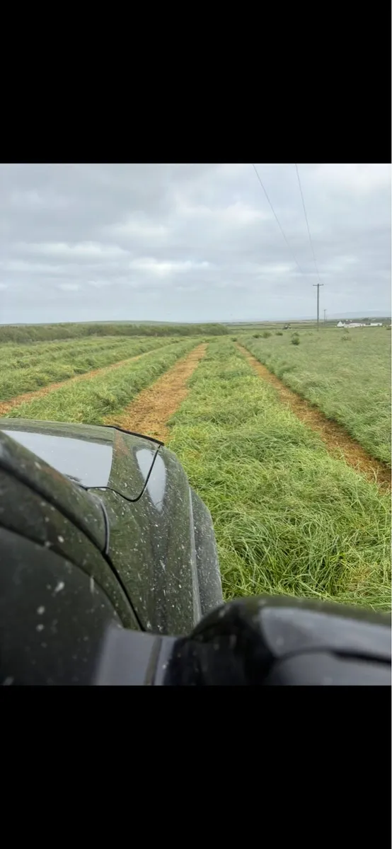 Silage - Image 3