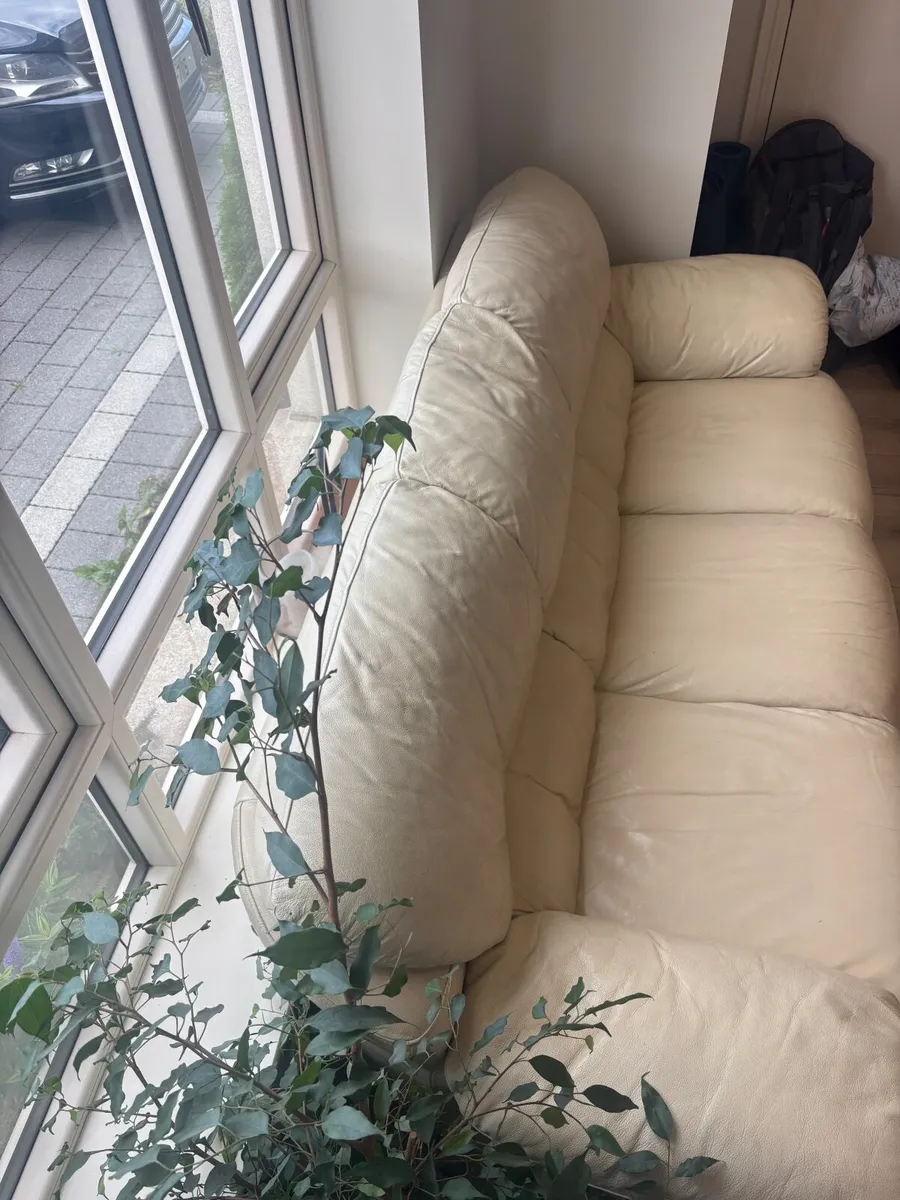 Couch - Image 2