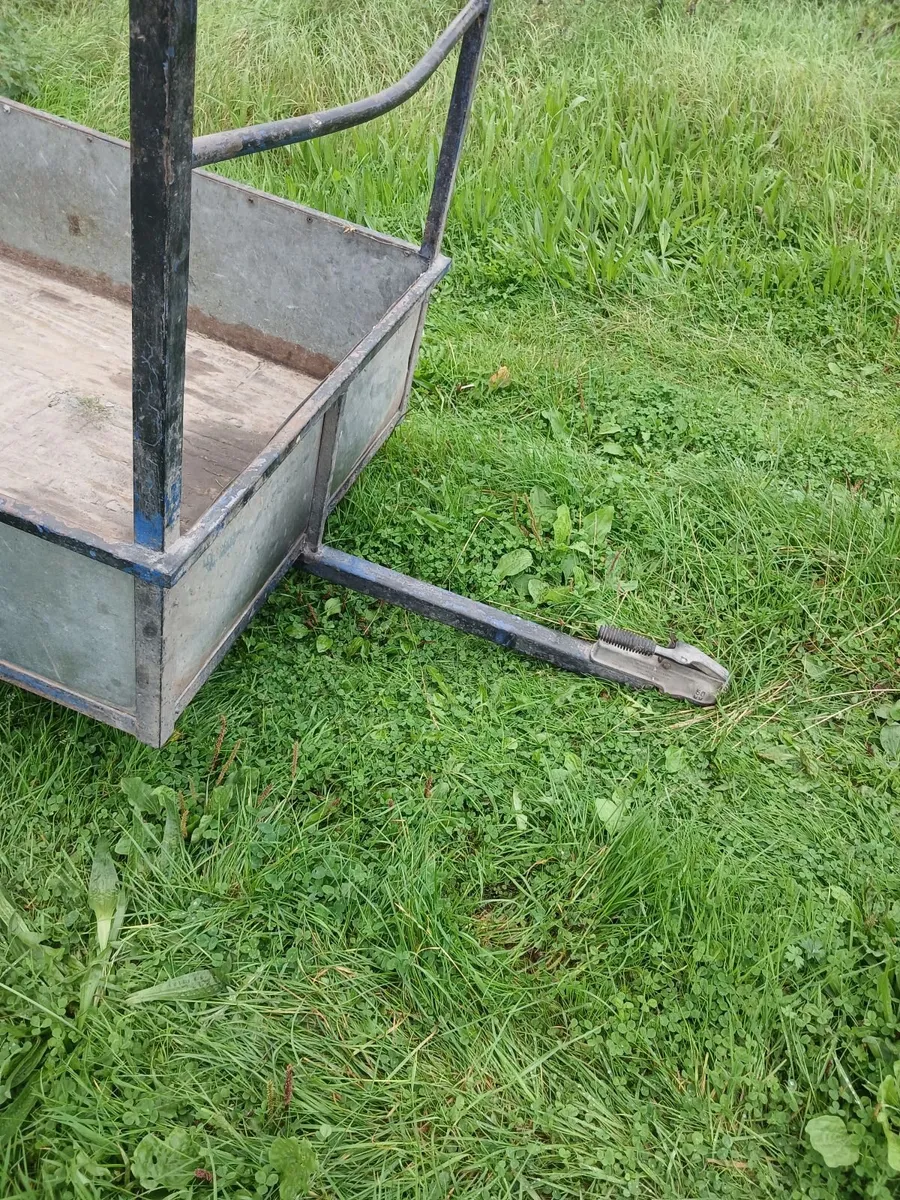 Quad/Car Trailer - Image 3