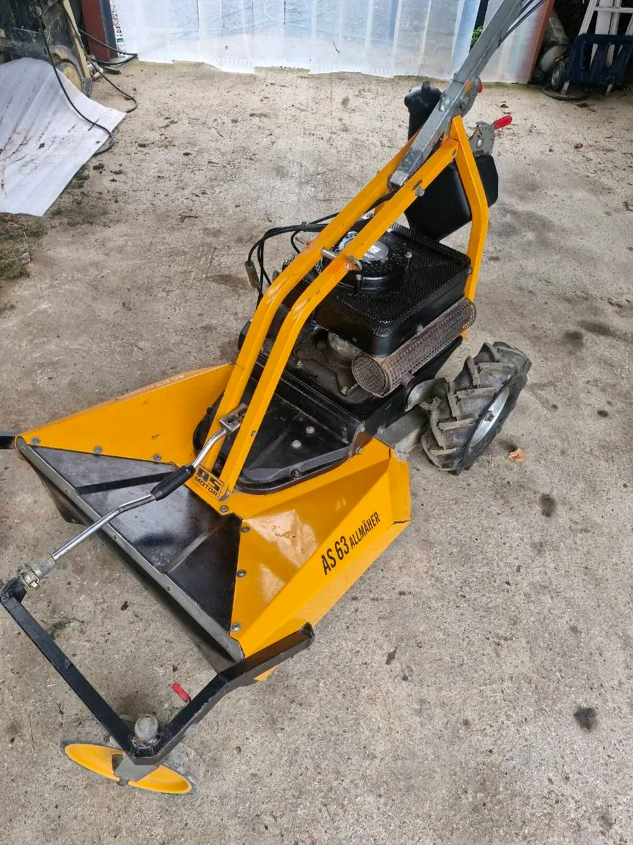 AS 63 2T LONG GRASS CUTTER - Image 2