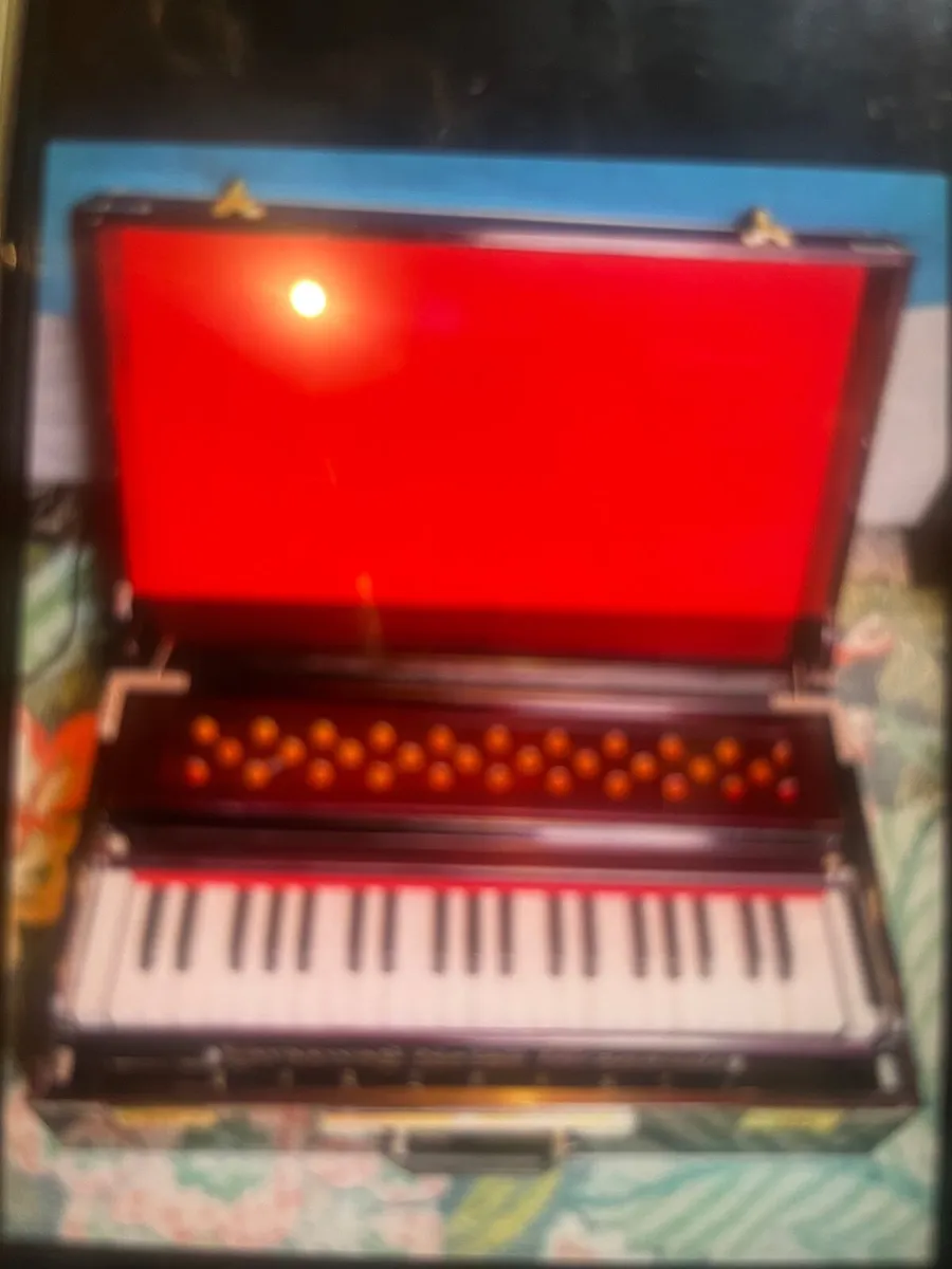Selling a professional Indian Harmonium - Image 2