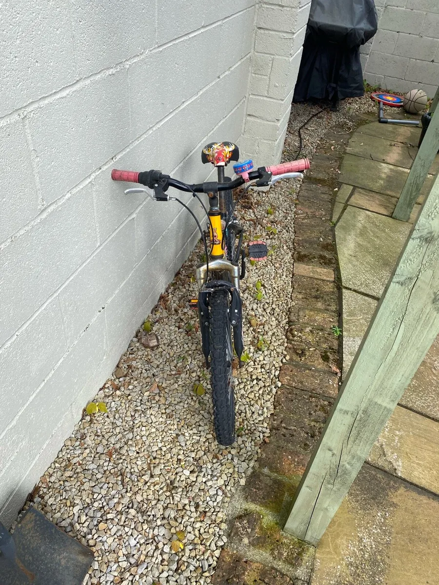 19” kids bike - Image 2