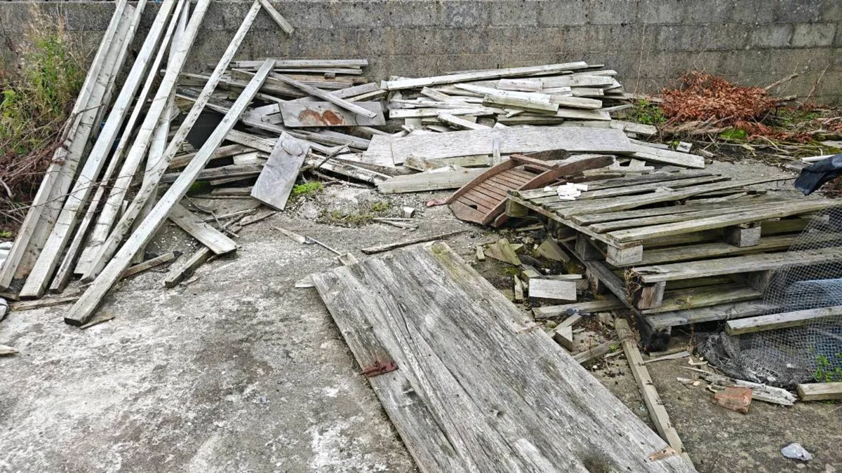 Free Timber from old shed
