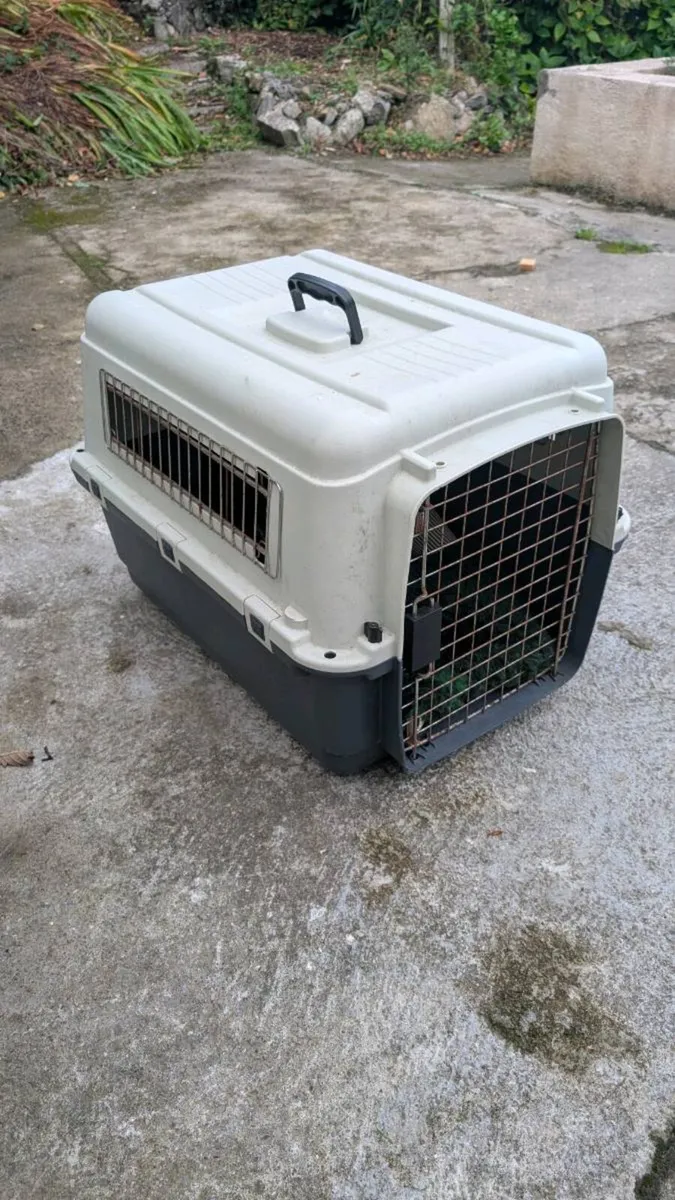Dog crate - Image 1