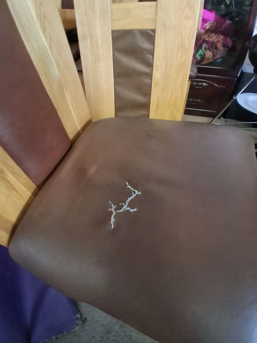 Kitchen Chairs - Image 3