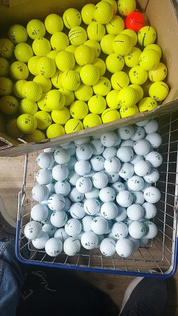 JJ'S CORK GOLF BALLS - SEED PREMIUM ONLY BALLS - Image 1