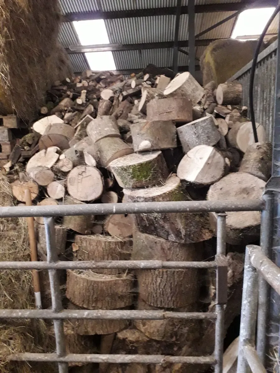 Firewood and pallets