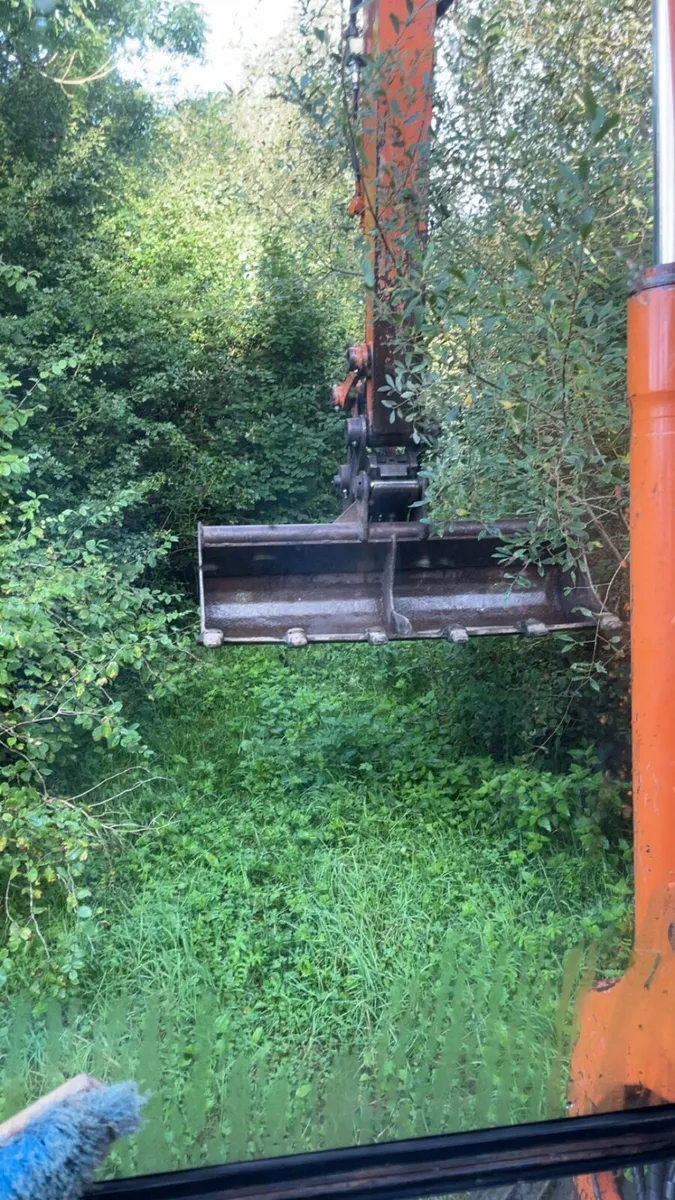 8 ton digger available Flail / Saw / Tree shears - Image 2