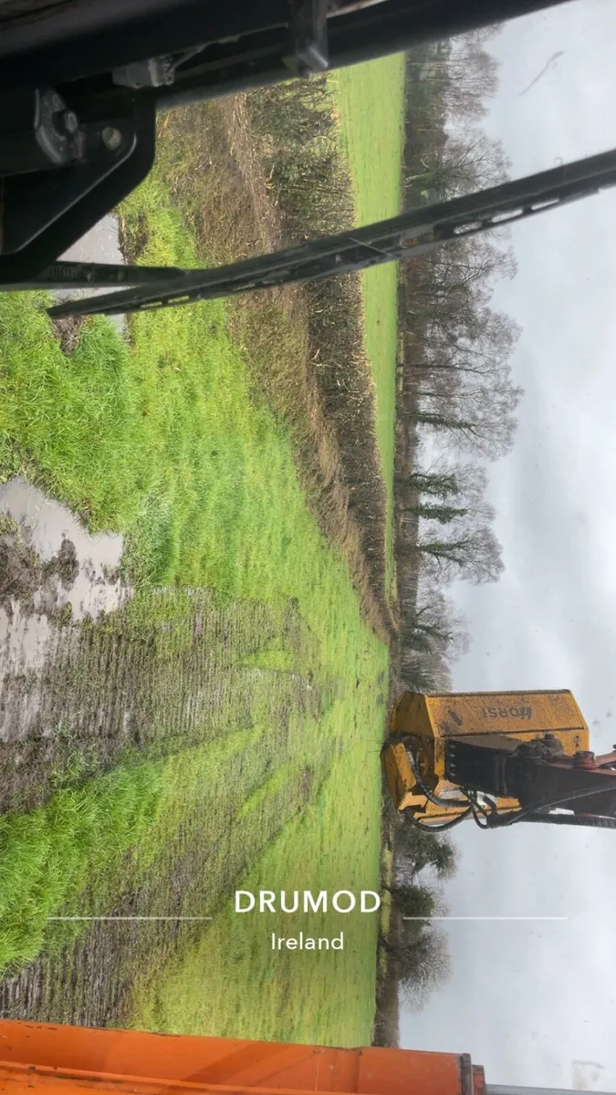 8 ton digger available Flail / Saw / Tree shears - Image 1