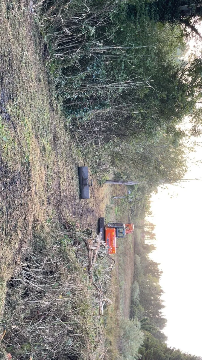 8 ton digger available Flail / Saw / Tree shears - Image 3