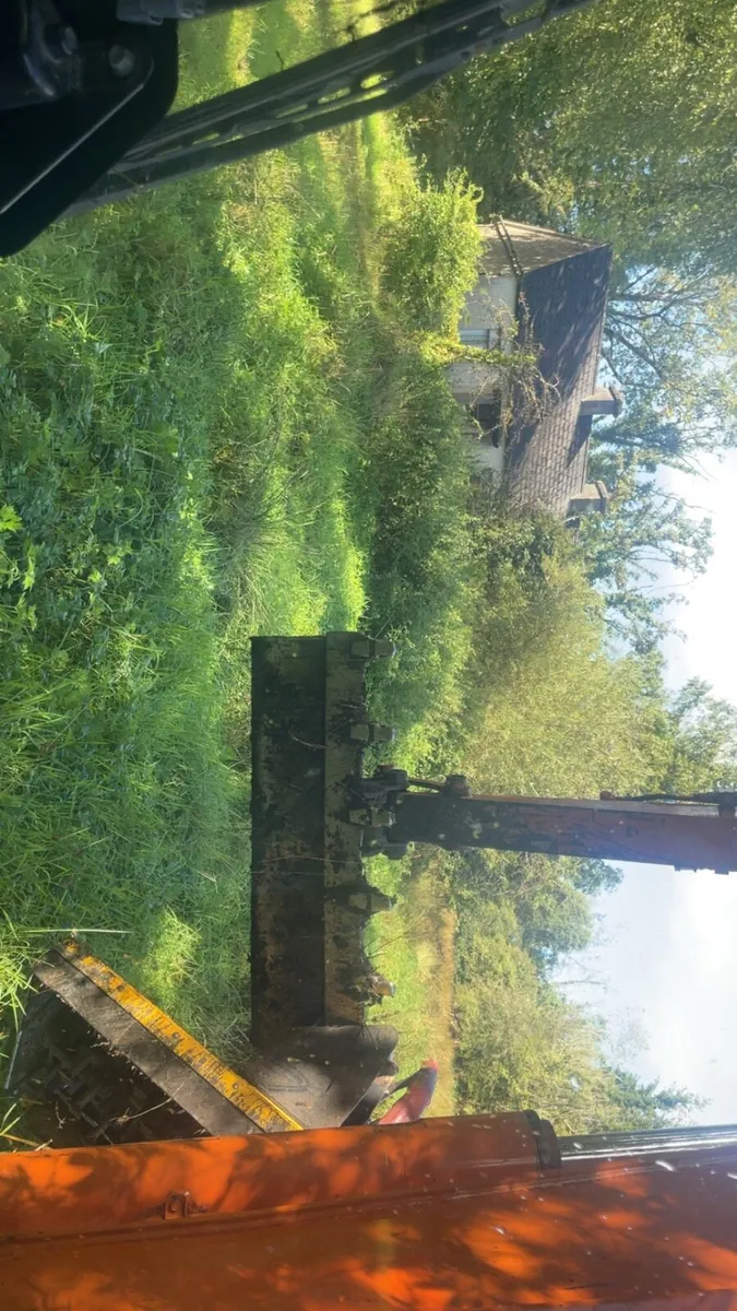 8 ton digger available Flail / Saw / Tree shears - Image 4