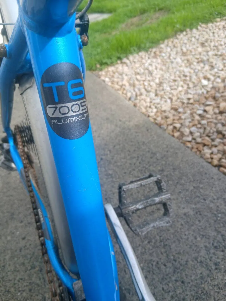 ADULTS BIKE - Image 2