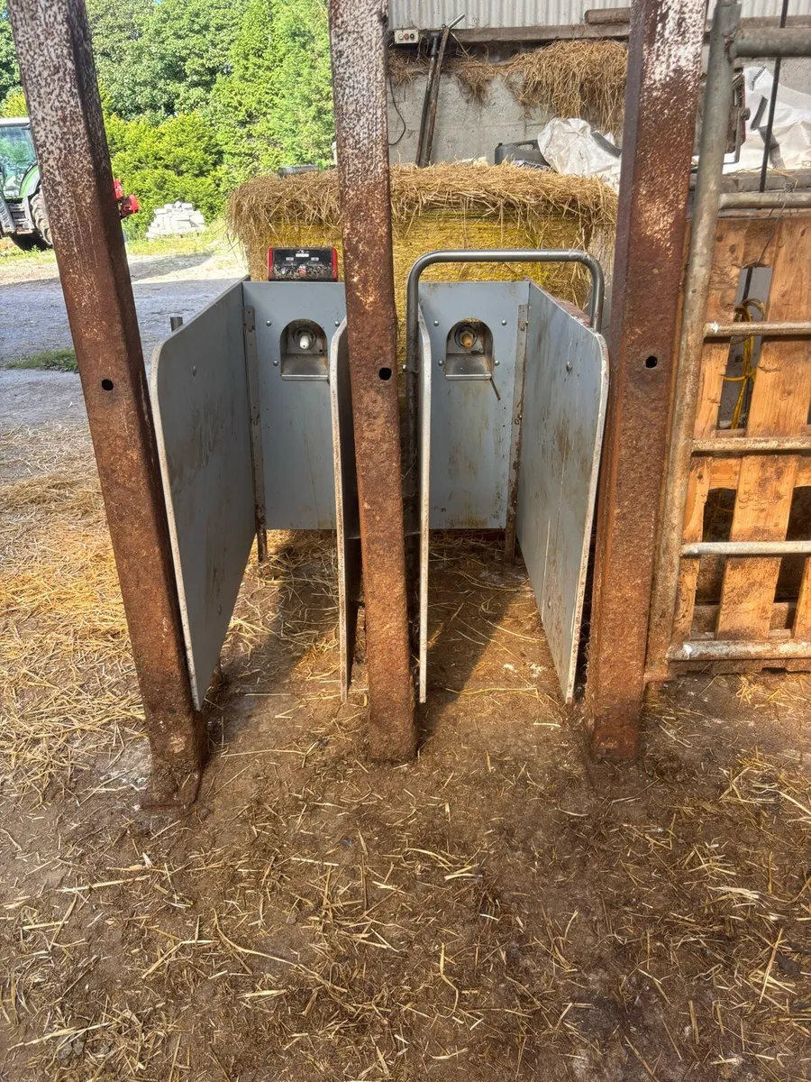 VOLAC URBAN CALF FEEDER - Image 4