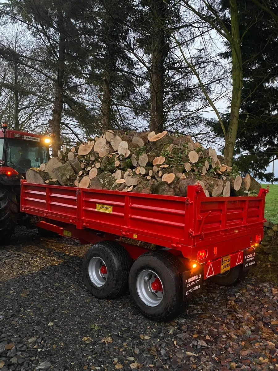 Timber for sale - Image 4