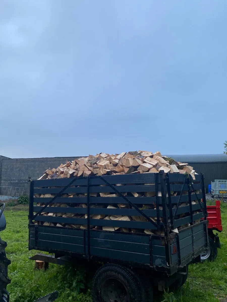 Timber for sale - Image 2