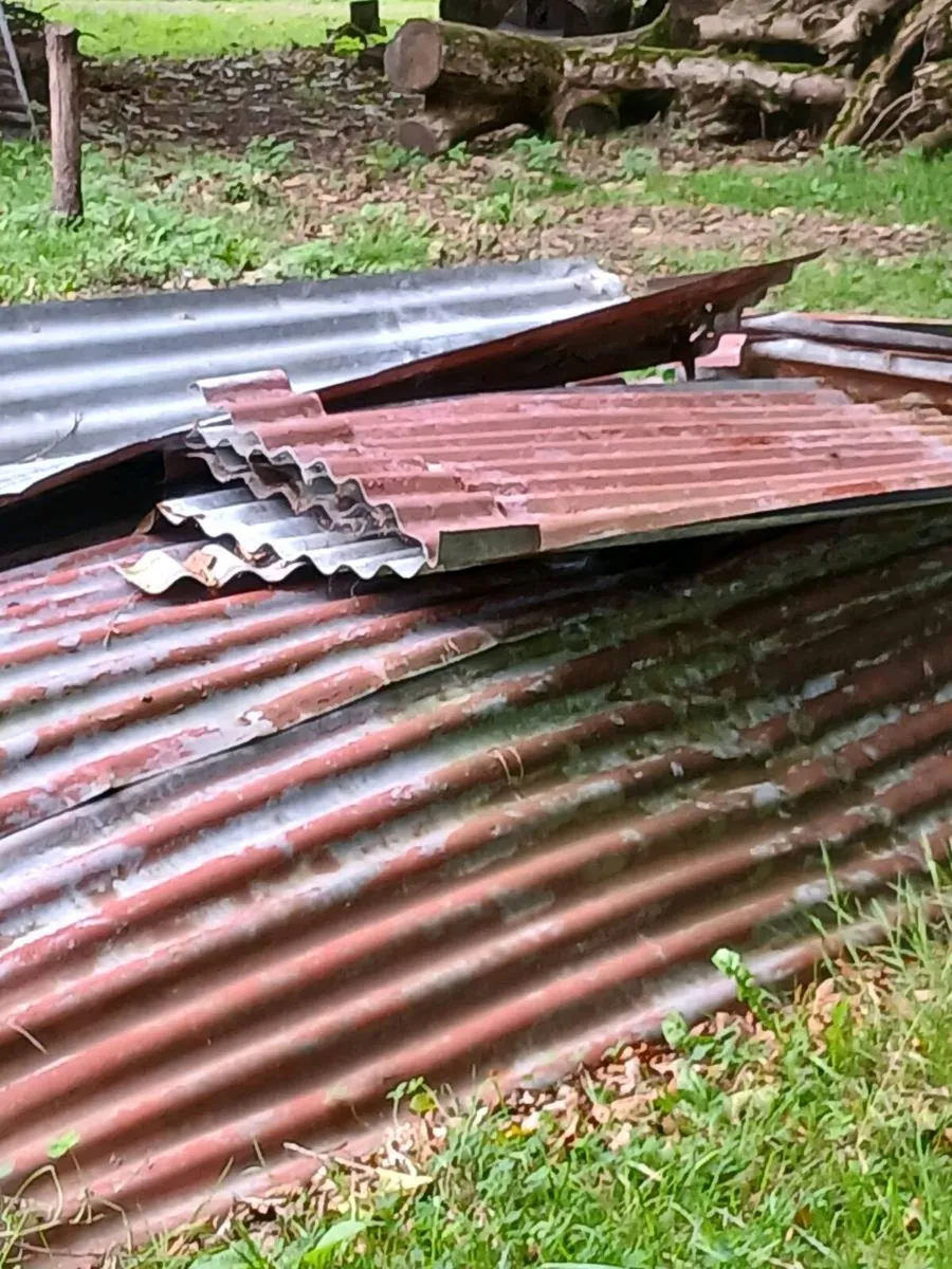 Galvanise sheeting - Image 1