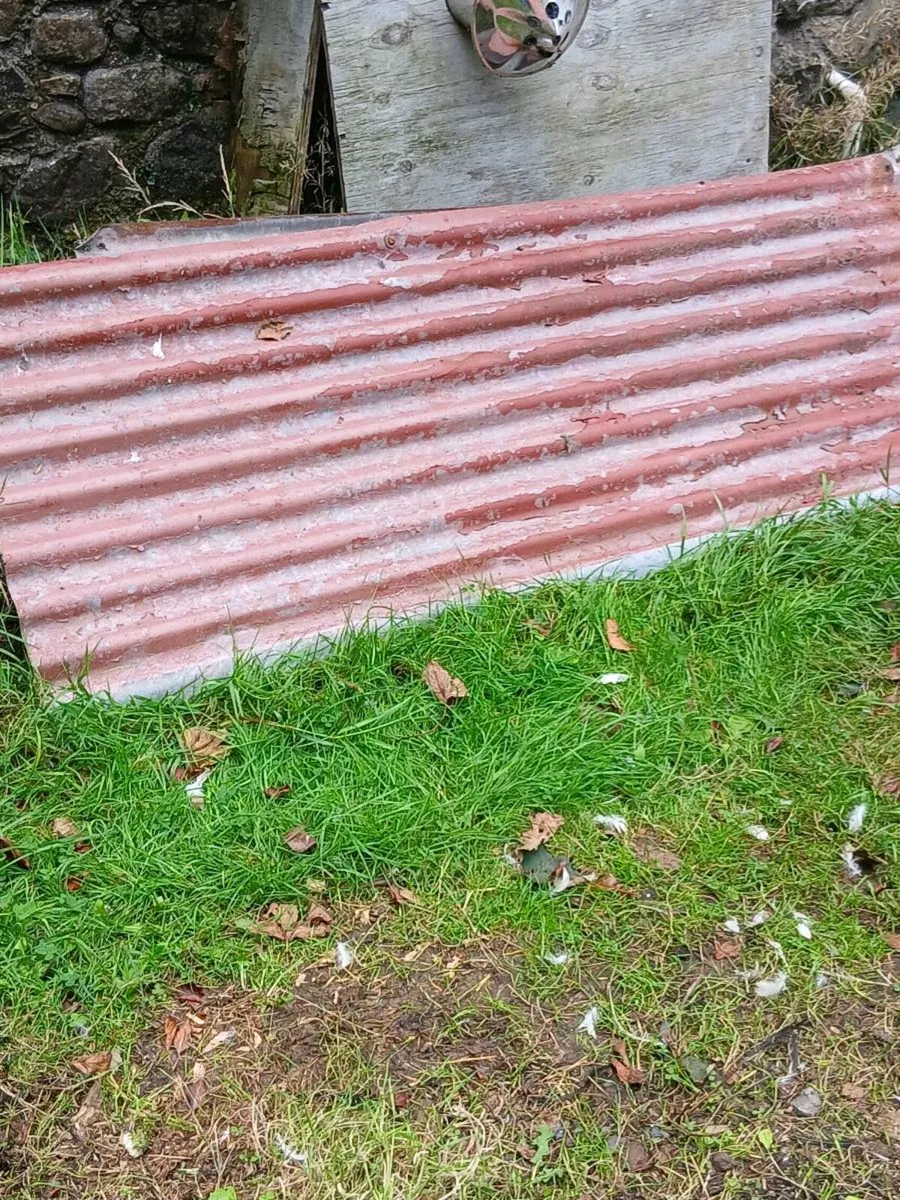 Galvanise sheeting - Image 4