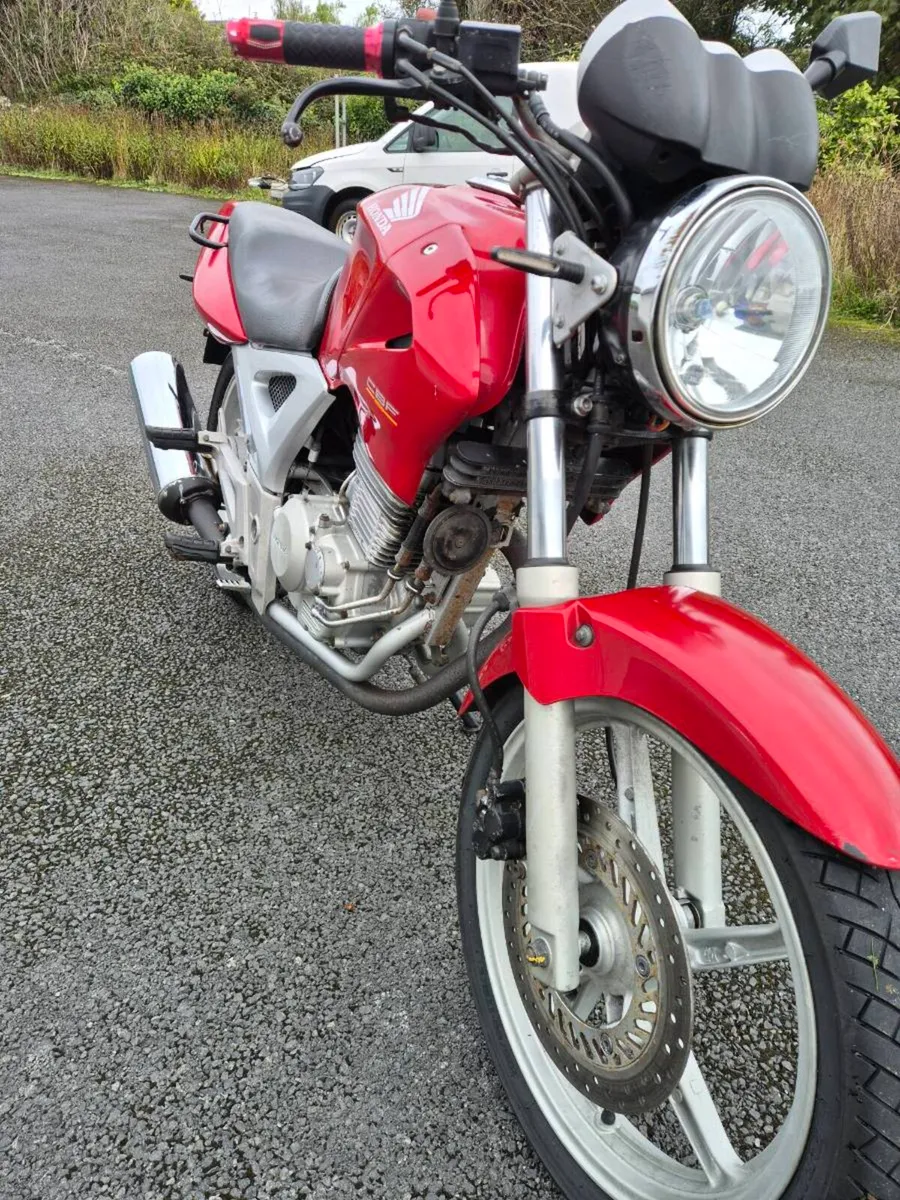 Honda cbf250 - Image 4