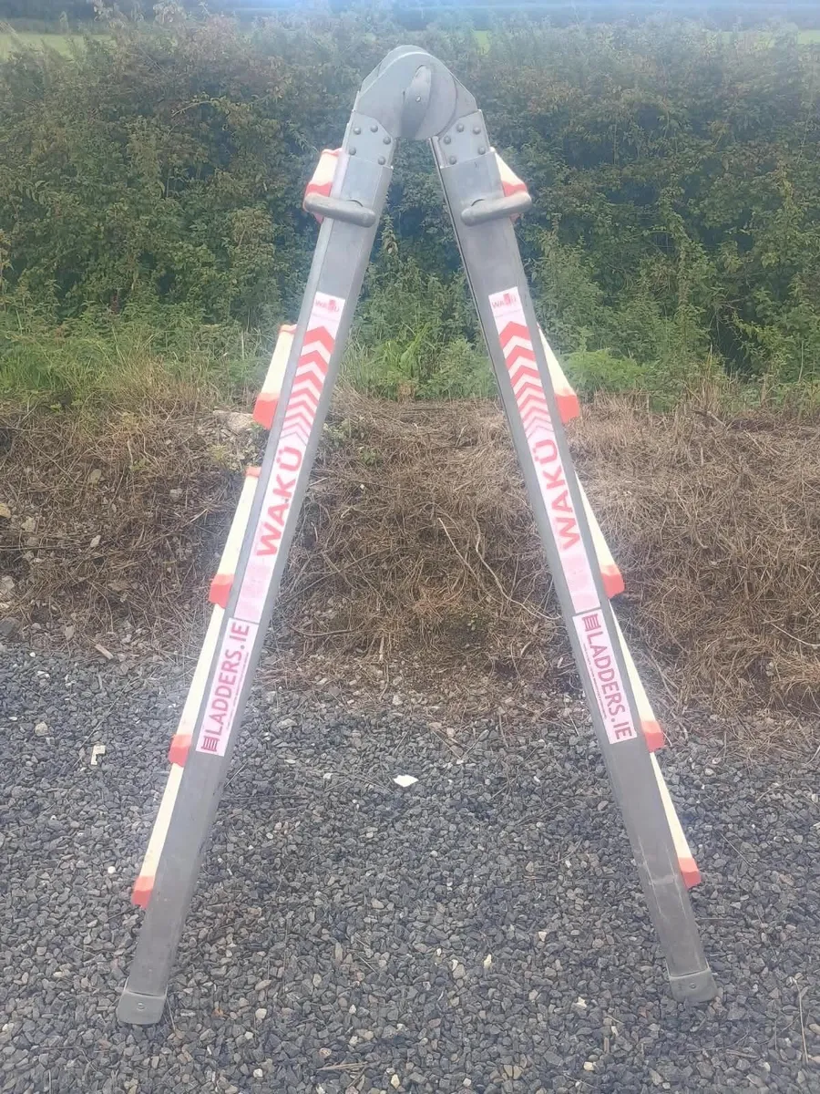 Ladders - Image 4