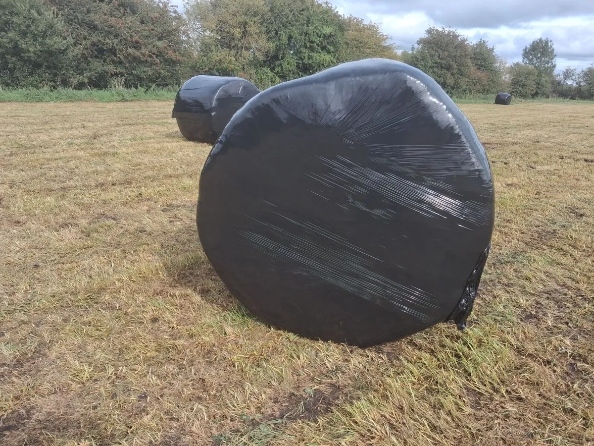 Silage bales - Image 3