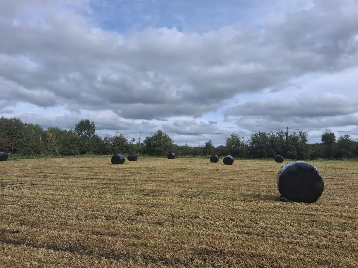 Silage bales - Image 2
