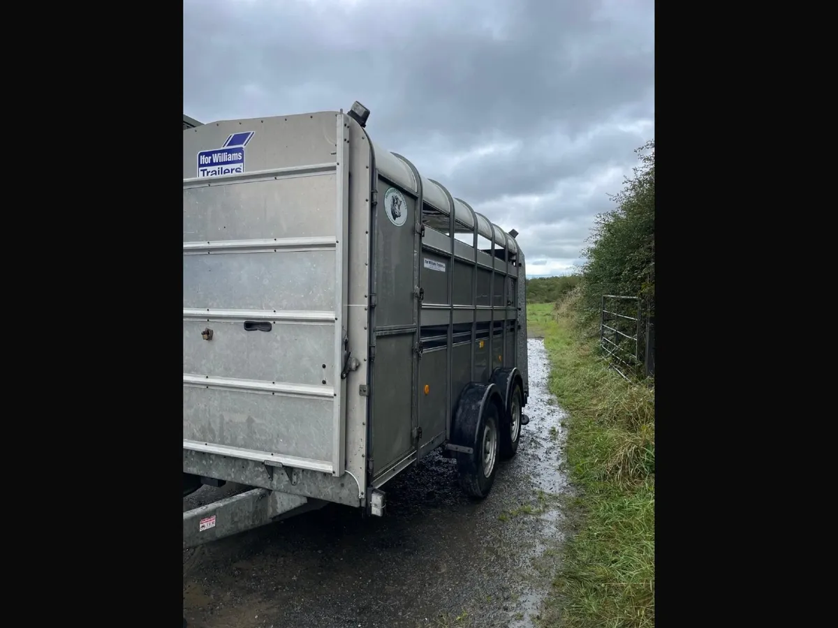 Ifor Williams Trailer - 12x6 cattle trailer - Image 3