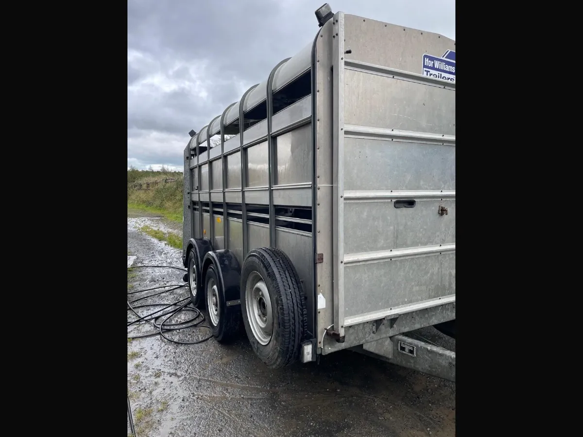 Ifor Williams Trailer - 12x6 cattle trailer - Image 2