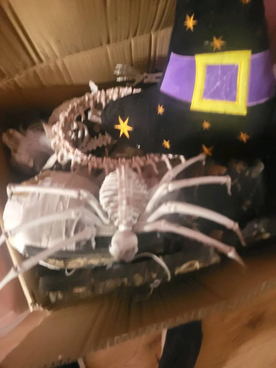 halloween decorations - Image 1