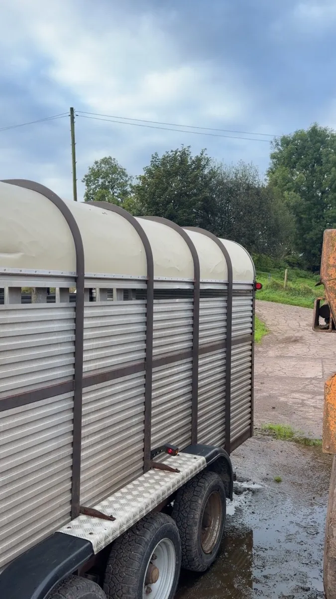 Hamilton cattle trailer - Image 1
