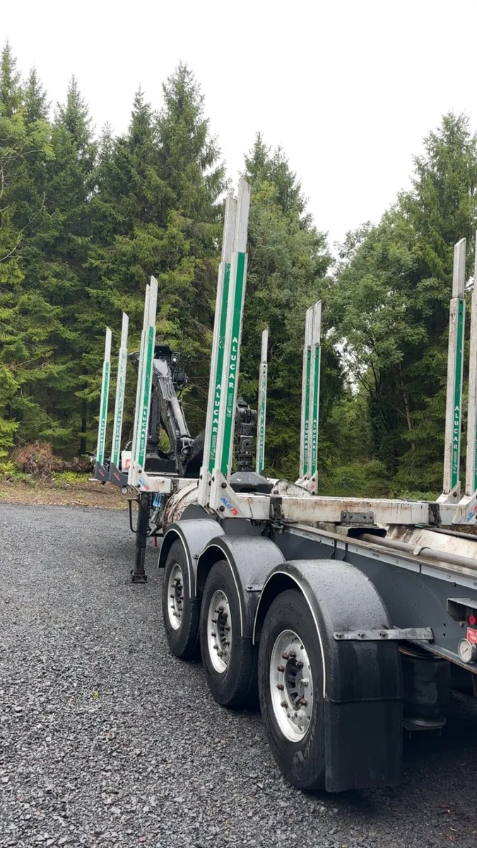 Robinson trailer + Palfinger crane - Image 3