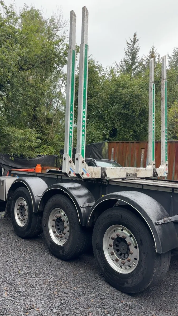 Robinson trailer + Palfinger crane - Image 2