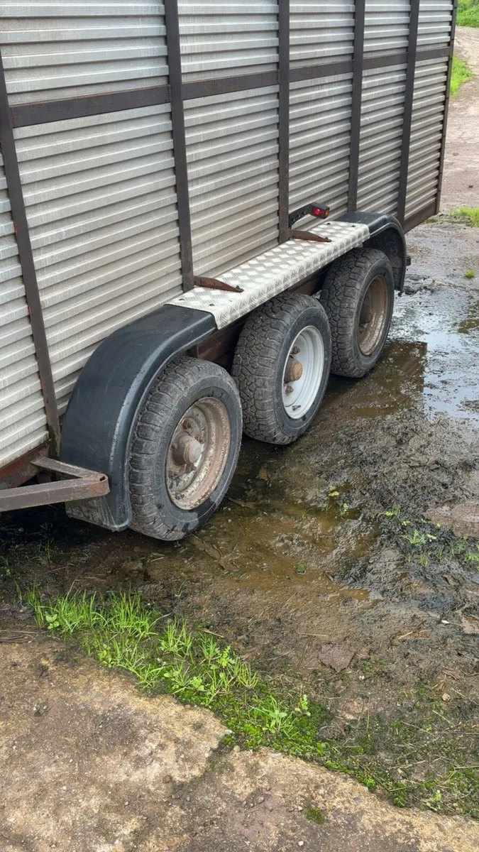 Hamilton cattle trailer - Image 2