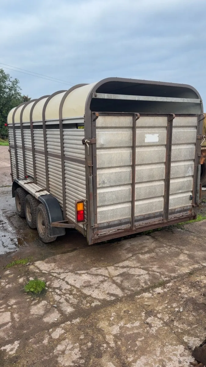 Hamilton cattle trailer - Image 3