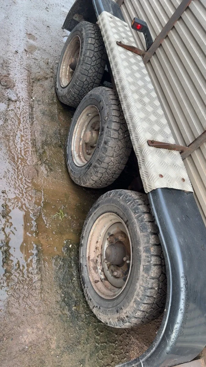 Hamilton cattle trailer - Image 4