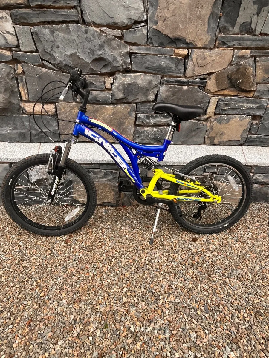 Blue Ignite Impact Bike 20” - Image 1