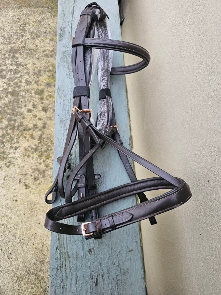 New full size bridle - Image 1