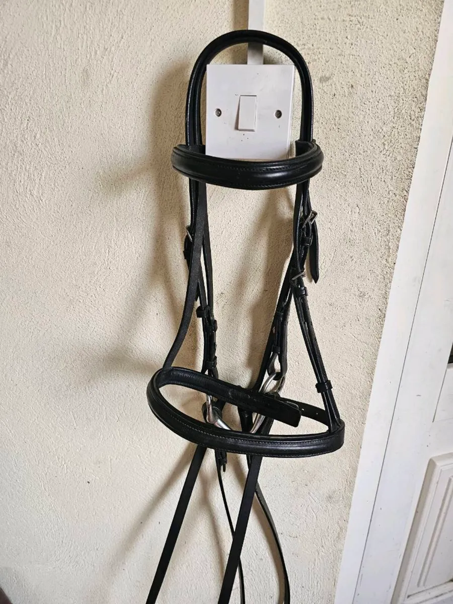 Pony Bridle suit 11/12 HH - Image 1