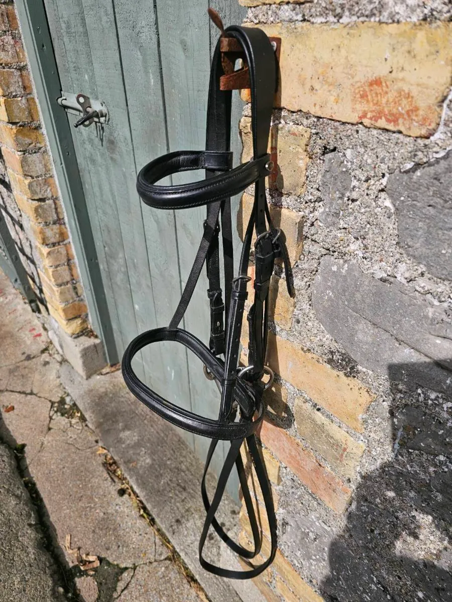 Pony Bridle suit 11/12 HH - Image 3