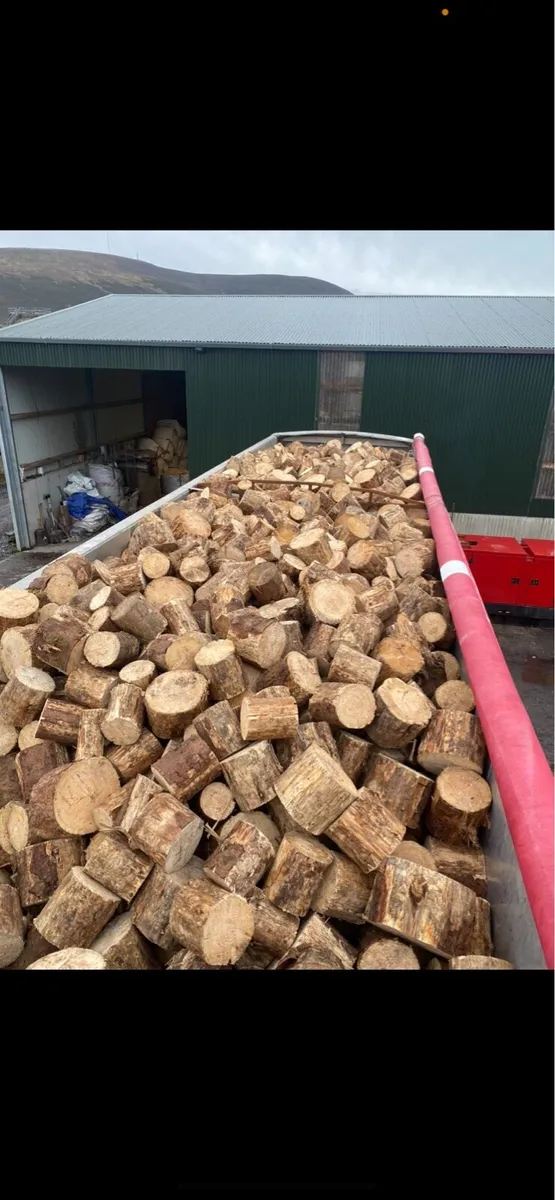 Kindling rings timber - Image 1