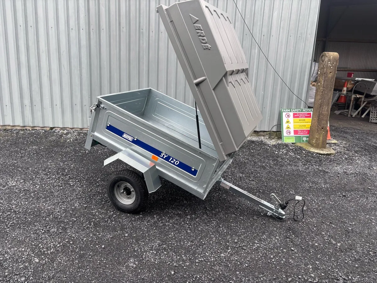 5x4 single axle canopy trailer - Image 3