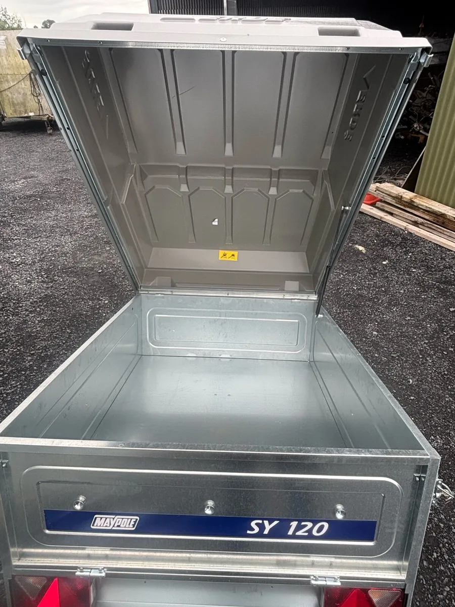 New 6x4 single axle mesh trailer - Image 3